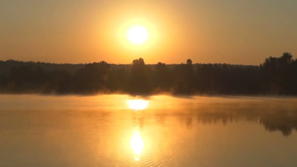 Zlaté jezero s rozostření opar a zelené banky vypadá dobře — Stock video