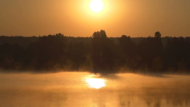 Un lago pintoresco con una ligera neblina y bancos verdes se ve bien — Vídeos de Stock