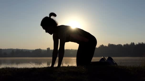 若い女性はスローモーションの夕日猫ヨガの練習 — ストック動画