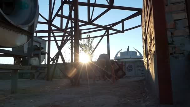 Joven en un sitio de construcción hace un empujón y salta en slo-mo — Vídeo de stock