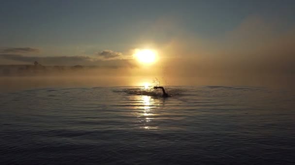 젊은 남자는 slo-mo에 일몰에 호수에 craws 수영 — 비디오