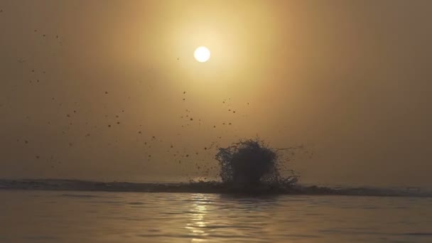 젊은 남자는 slo-mo에 일몰에 호수에 나비 수영 — 비디오