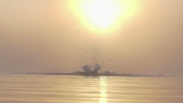 Strong man swims butterfly powerfully in a lake at sunset in slo-mo — Stock Video