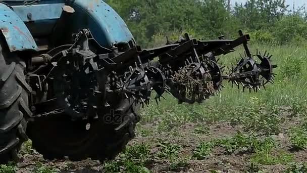 En blå traktor med en metallisk harrow flyttar tillbaka i slutet av sommaren — Stockvideo