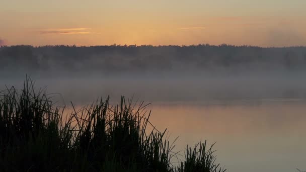 Ein See bei einem herrlichen Sonnenuntergang im Sommer. Es ist mit Nebel bedeckt. — Stockvideo