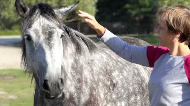 Boldog nő áll, közel a gyep az slo-mo foltos ló — Stock videók