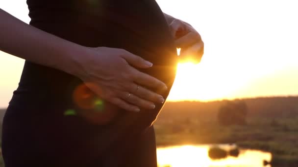 Händerna på gravid kvinna smeker hennes mage vid solnedgången. — Stockvideo