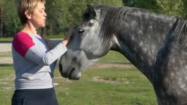 Kobieta w średnim wieku pieszczoty piękna klacz w slo-mo — Wideo stockowe