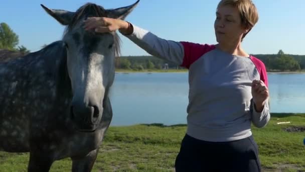 Mujer feliz acaricia un bonito caballo con su mano — Vídeo de stock