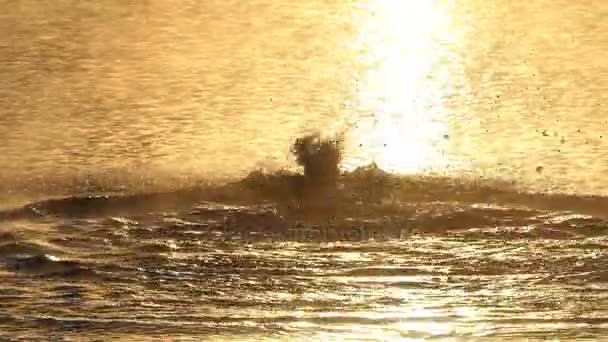 Młody człowiek pływa motyl w jeziorze o niesamowity zachód słońca w slo-mo — Wideo stockowe