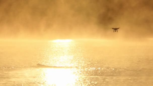 Ung man simmar crawl i en glittrande sjö. En drönare är över i slo-mo — Stockvideo