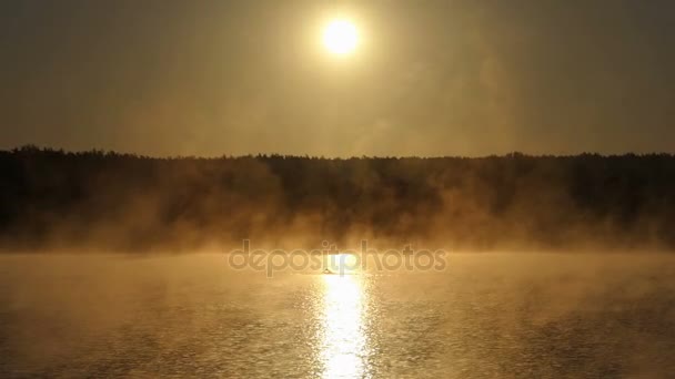 Молодой человек ползает в туманном золотом озере — стоковое видео