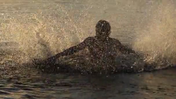 Jonge ma speelt met wateren in een gouden meer bij zonsondergang — Stockvideo