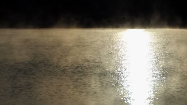 Jezioro dzikie jest pokryte złote słońce ścieżka i zamglenia w lecie — Wideo stockowe