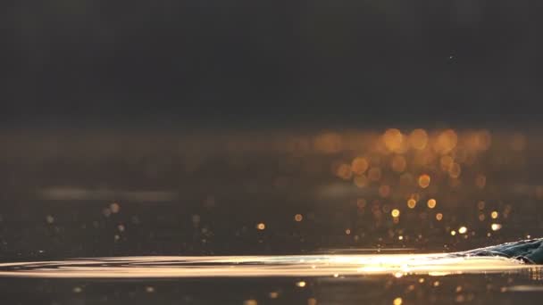 Uma mão masculina faz salpicos em um lago esplêndido ao pôr do sol em slo-mo — Vídeo de Stock