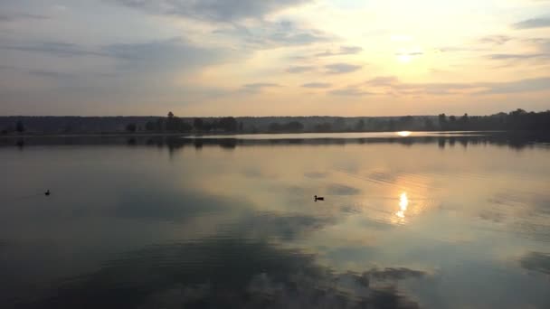 Dos patos nadan en un lago del bosque al atardecer espléndido en slo-mo — Vídeos de Stock