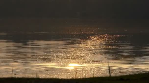 En sjö täckt med en massa gyllene fläckar vid solnedgången — Stockvideo