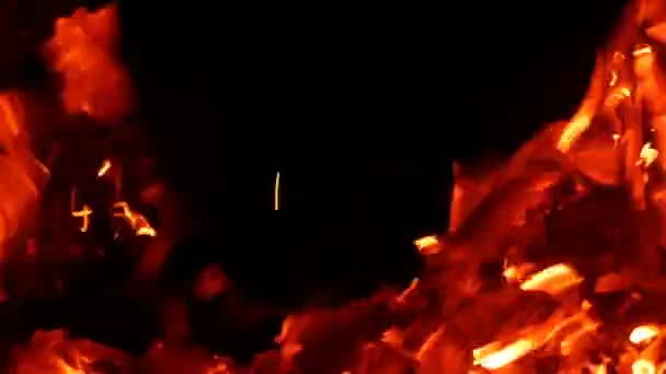 Ein Spaten rührt im Sommer in Slo-mo die Kohlen eines Lagerfeuers an — Stockvideo