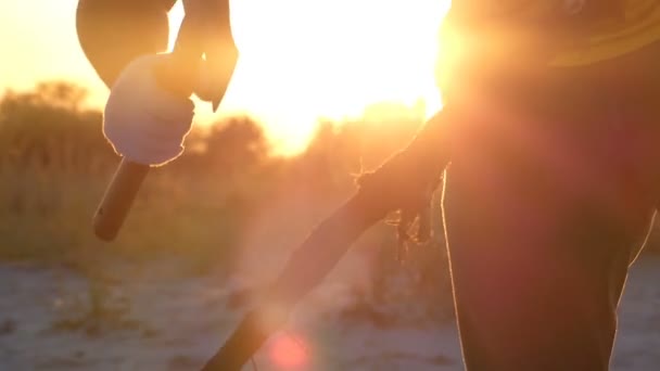Een bijl hakt de takken aan een kust bij zonsondergang in slo-mo — Stockvideo