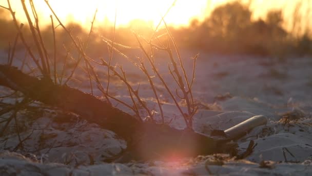 De boomtak van een en een bijl ligt in de buurt bij een prachtige zonsondergang — Stockvideo