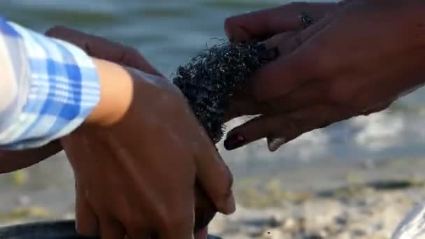 Zwei Frauen schälen am Meer mit einer Metallbürste Popeln — Stockvideo