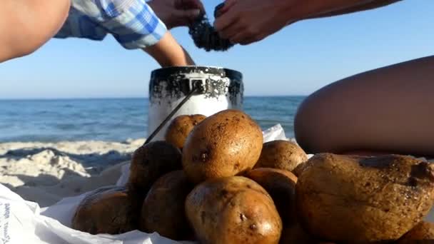 Las manos femeninas limpian las patatas con un cepillo metálico a orillas del mar — Vídeos de Stock