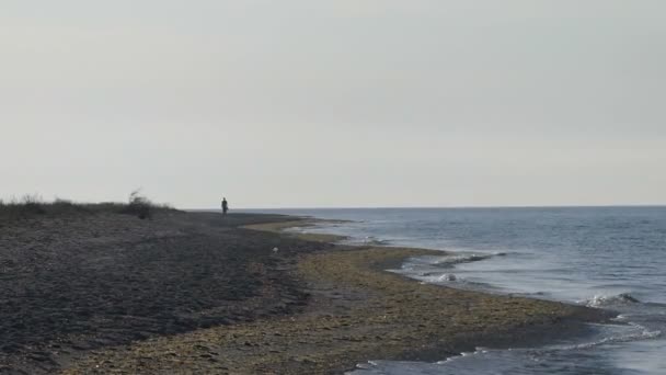 Een eenzame toerist wandelingen op het strand van de Zwarte Zee — Stockvideo