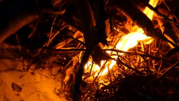 Ein Lagerfeuer an der Schwarzmeerküste tief in der Nacht . — Stockvideo