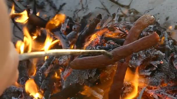 Verschillende worsten worden gekookt op het kampvuur in de zomer in slo-mo — Stockvideo