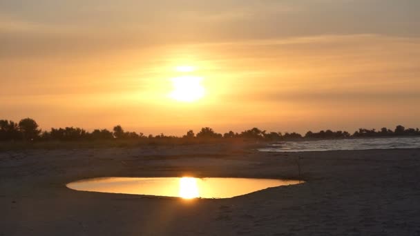 Um pôr-do-sol dourado na ilha de Dzharylhach no verão em slo-mo — Vídeo de Stock