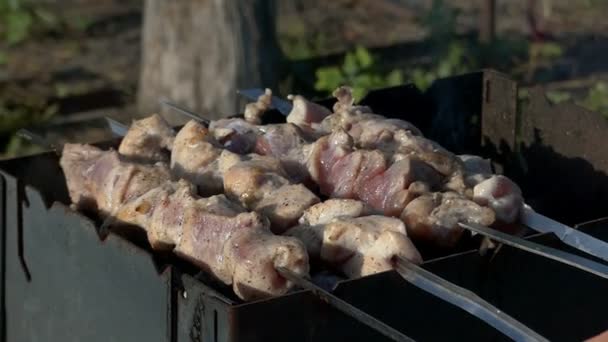 Meat shashlyk is cooked on a metallic mangal in summer in slo-mo — Stock Video