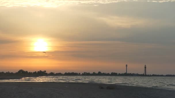 Möwe fliegt bei Sonnenuntergang in Slo-mo über die herrliche Meeresküste — Stockvideo