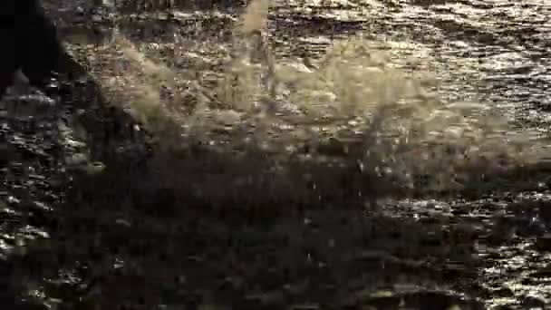 Homem feliz bate água fazendo plashes em um lago ao pôr do sol em slo-mo — Vídeo de Stock