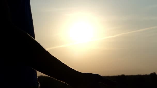 Mans ruka dává šampion misku do jiného při západu slunce v slo-mo — Stock video