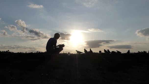 Homem gentil alimenta um bando de pombas em um gramado ao pôr do sol — Vídeo de Stock