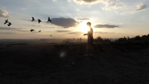 斯洛伐克日落时, 金发男人在一个漂亮的草坪上喂鸽子。 — 图库视频影像