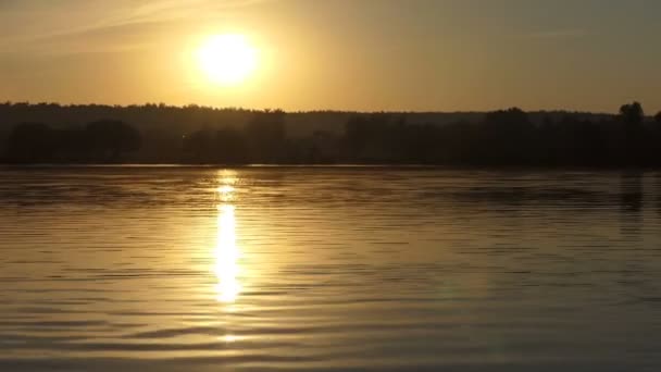 幸せな男を実行し、スローモーションで夕暮れ時の湖で平泳ぎを泳ぐ — ストック動画