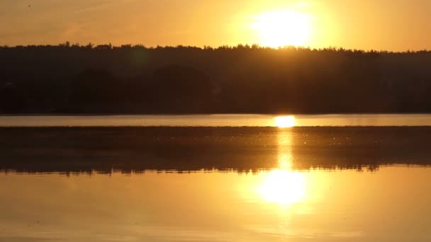 Bir orman Gölü yaz aylarında gün batımında parlayan altın suları — Stok video