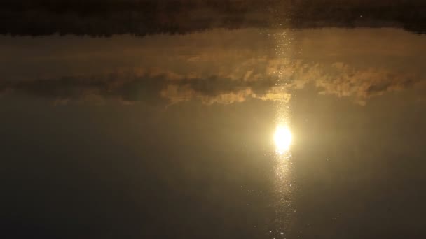 Mooie bos meer in de stralen van een prachtige zonsondergang in slo-mo — Stockvideo