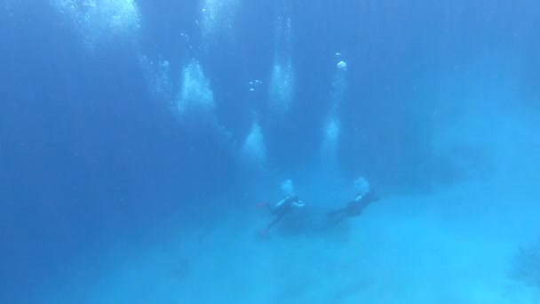 두 마리의 스쿠버 다이버가 이집트 홍해 물 속에서 수수께끼같은 산호 위를 헤엄치고 있는 모습 — 비디오