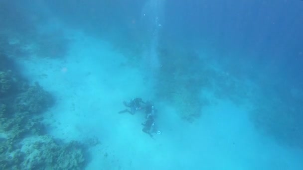 Två dykare simmar över exotiska koraller under vattnet i Röda havet i Egypten — Stockvideo