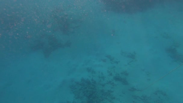 Weibliche Hände machen lustige Gesten unter Wasser im Roten Meer in Slo-mo — Stockvideo