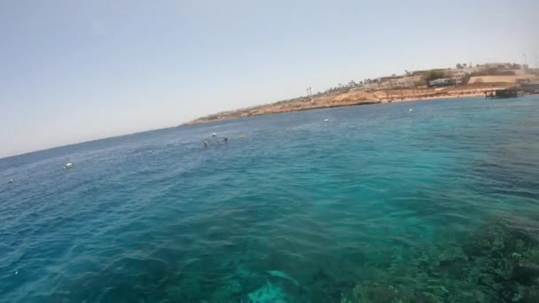 Tiszta és átlátszó víz a Vörös-tengeren Egyiptomban slo-mo — Stock videók
