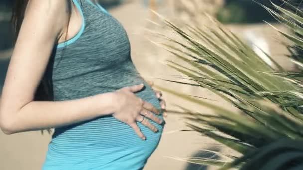 Young woman touching pregnant belly at a palm at sea shore — Stock Video
