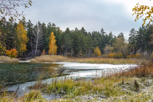 Erster Frost und Schnee. Sibirien, Fluss ob — Stockfoto