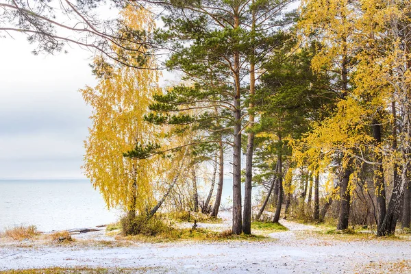 Autumn Landscape First Snow River Novosibirsk Oblast Siberia Russia — Stock Photo, Image