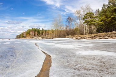 Bahar manzara Sibirya Nehri üzerinde