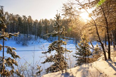 Winter morning. Snowy shore of the River Separate ( tributary of the Ob river ), in Novosibirsk oblast, Siberia, Russia clipart