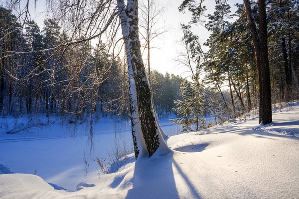 Mañana helada de invierno en la costa del río Siberiano — Foto de Stock