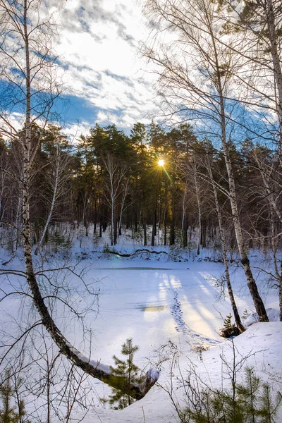 Mañana de invierno en el río Siberiano — Foto de Stock